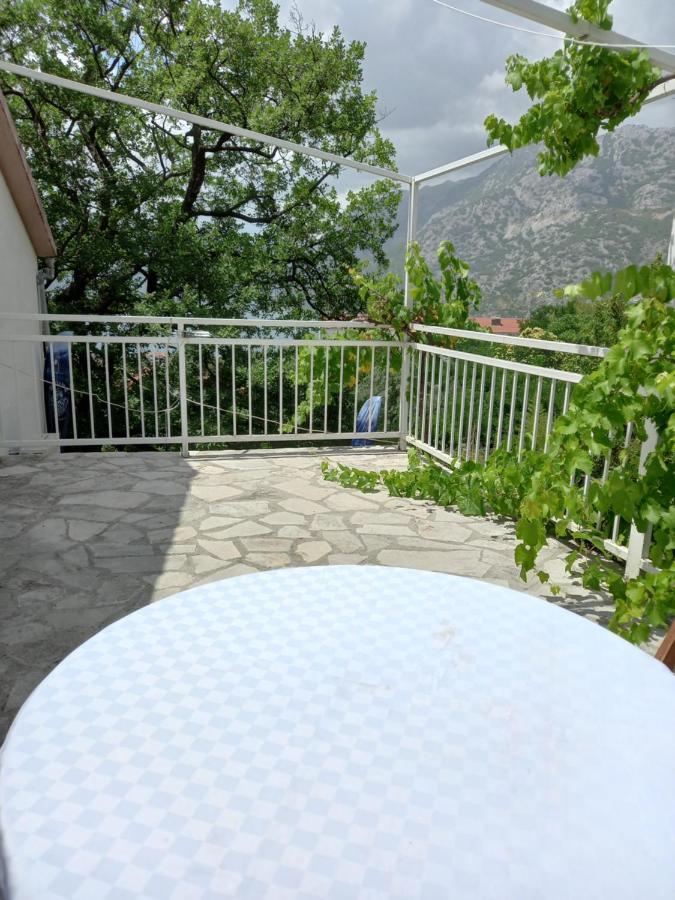Sea View Ξενοδοχείο Risan Εξωτερικό φωτογραφία