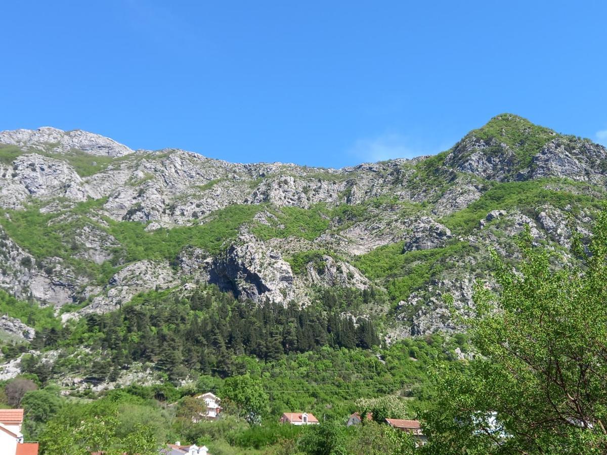 Sea View Ξενοδοχείο Risan Εξωτερικό φωτογραφία