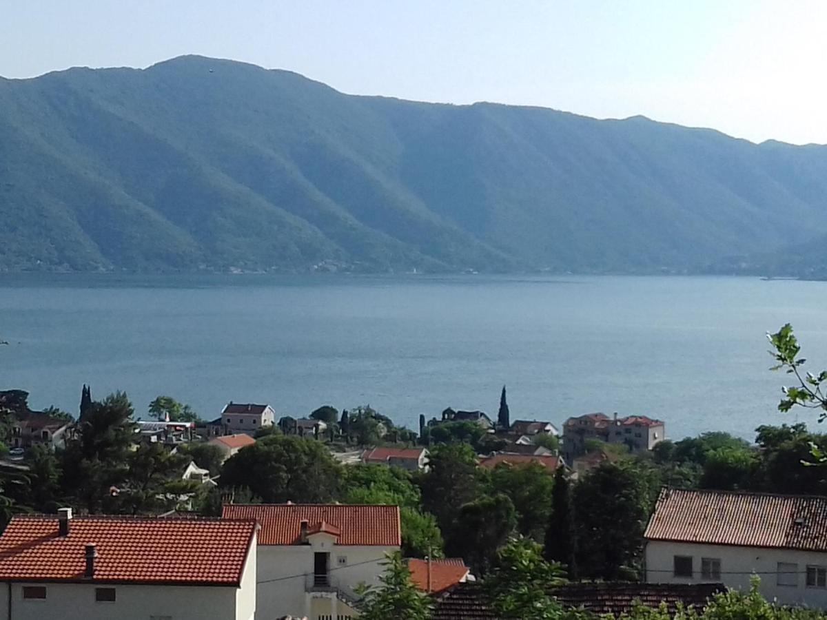 Sea View Ξενοδοχείο Risan Εξωτερικό φωτογραφία