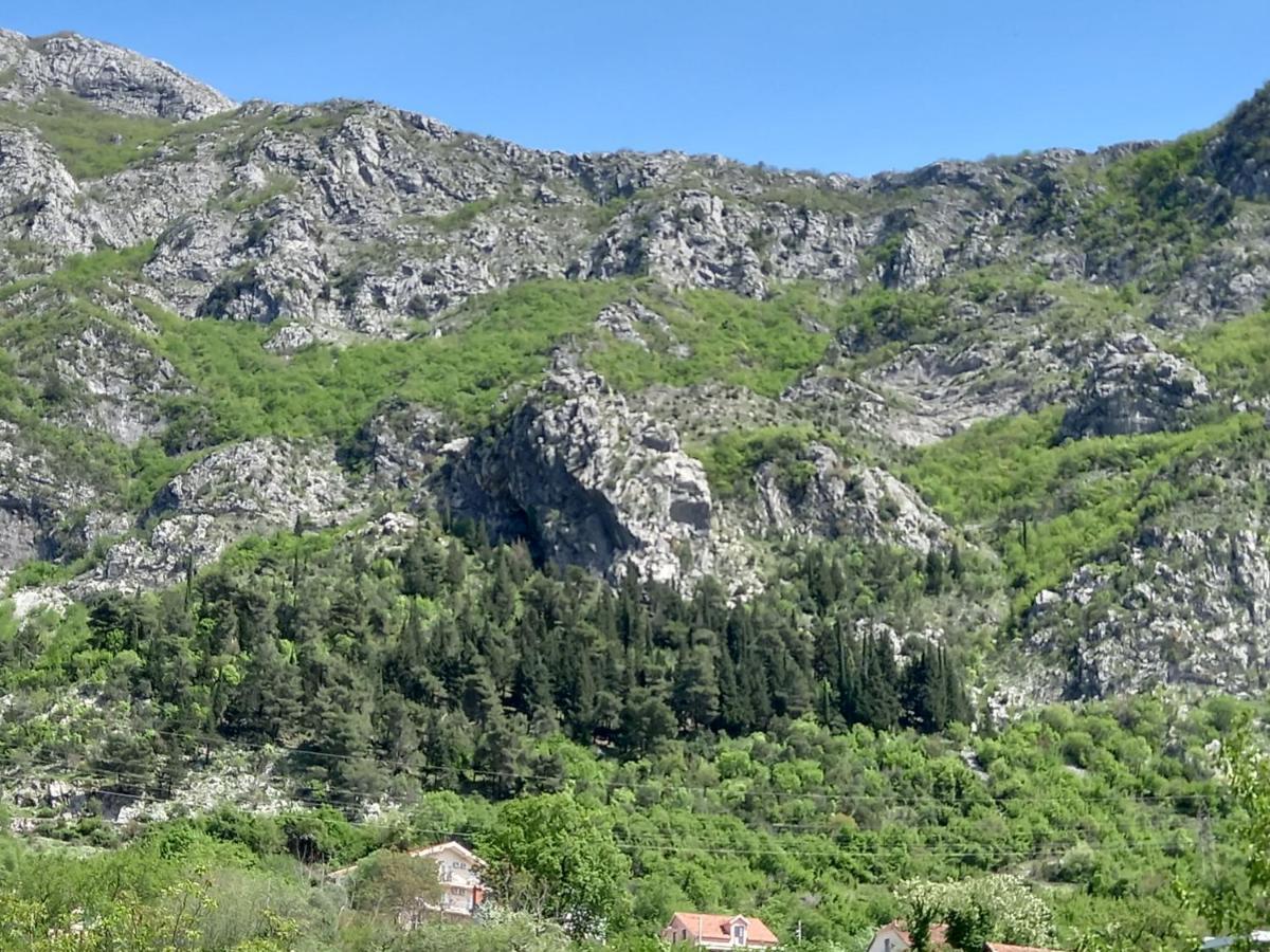 Sea View Ξενοδοχείο Risan Εξωτερικό φωτογραφία